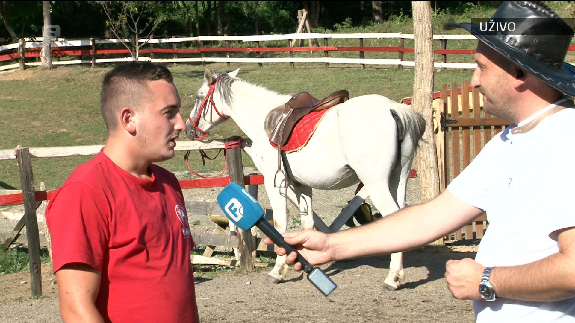 Mujaković: Konji pomažu bolje nego ijedan terapeut